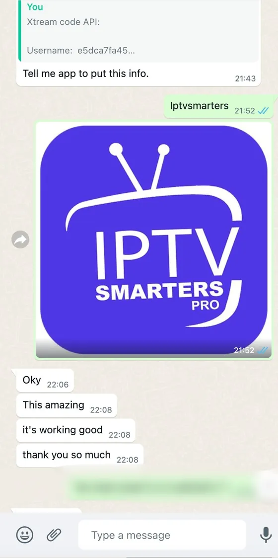 Screenshot: WhatsApp-Chat mit dem Strong 8K Support (2)